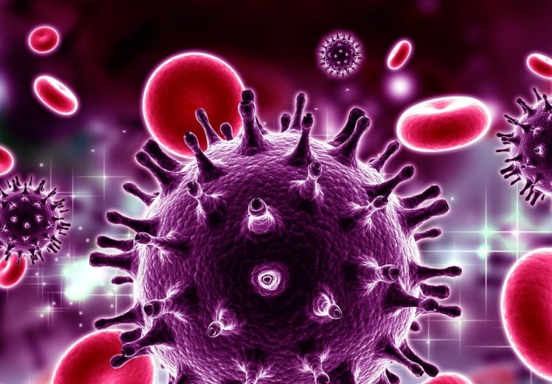 Американские ученые впервые за 19 лет обнаружили новый штамм ВИЧ
